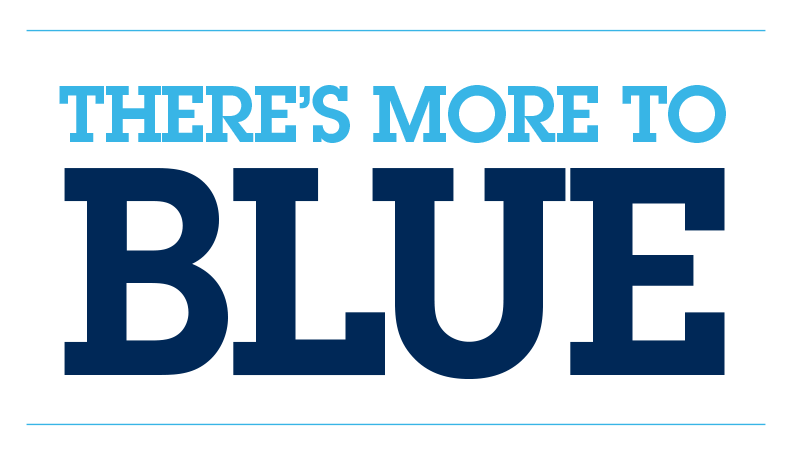 More to Blue word mark